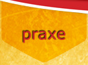 praxe